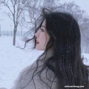 科目三考试流程是怎样的？