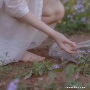 国债逆回购，已经成目前现金管理最重要的工具之一！