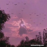 日本稳居十大品牌：索尼上榜，第一是家喻户晓的品牌