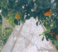 很多人都不知道的支付宝的正确提现方式，不需要一分手续费