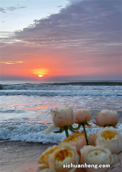 大熊猫和花和叶姐弟早起吃竹子　大熊猫有多爱竹子？