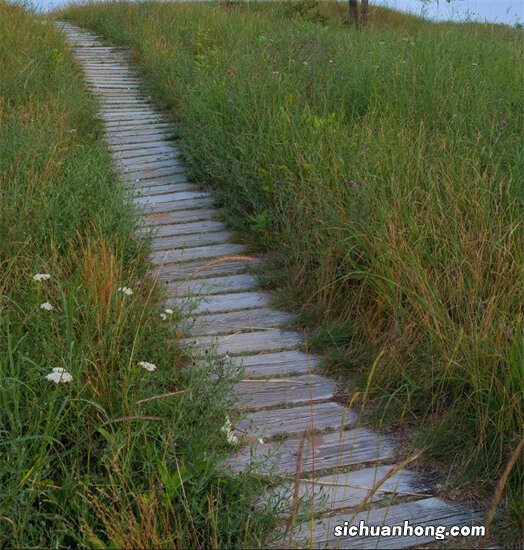 每到夜晚时，“高情商”的人都不会做哪些事？