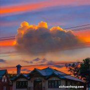 木材种类排行榜，黄花梨上榜，第一是高端家具用材