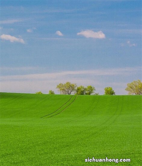 针对机动车、非机动车、行人各类影响城市交通文明的交通违法行为