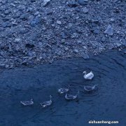 明日起，余额宝限额10万！没关系，换只「基」比它赚得更多