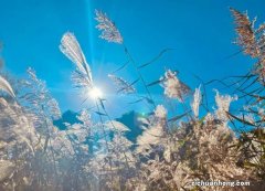 如何进行企业广告宣传片拍摄？