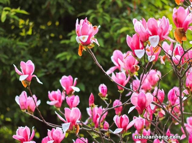 阿里员工作弊抢月饼被开除！申贷时你不要作弊 这些红线碰不得