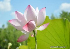 没有房子也能落户上海吗？