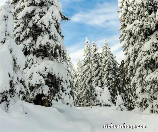 解密你不了解的“人头贷”骗局