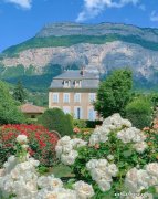 “限购令”松绑，“包二奶”的房产过户血案