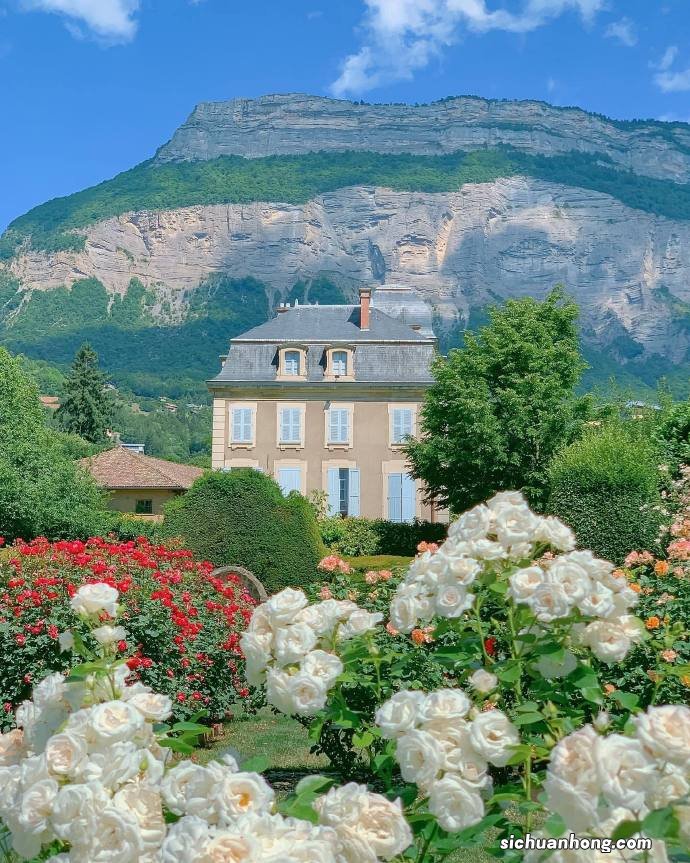 “限购令”松绑，“包二奶”的房产过户血案