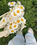 纯天然手工皂品牌排行榜：欧舒丹上榜，第一主打各类明星产品