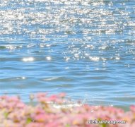 防毒面具发明过程 ?哪种动物启发发明了防毒面具