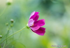 买房拿到房产证时，这3件事情拖的时间越久越麻烦，办的越早越好