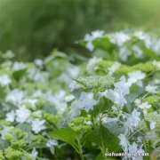 20%！房贷首付比例降了|除首套房，二套房贷首付调整为30%