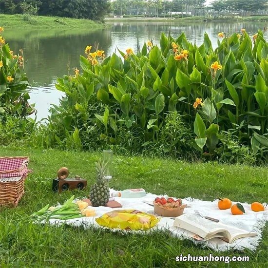 工商银行网上银行怎么查询限额?