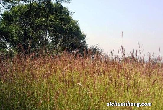 换季时节,孩子衣柜断舍离,穿不下的衣服怎么处理?5个办法解决