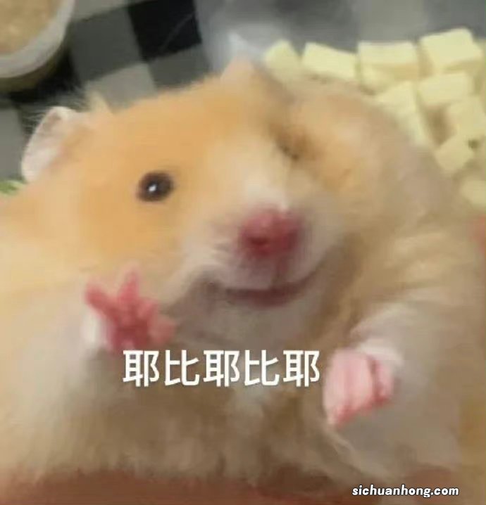 一个男人会撩不会撩,最明显的表现,就是对女生的回复