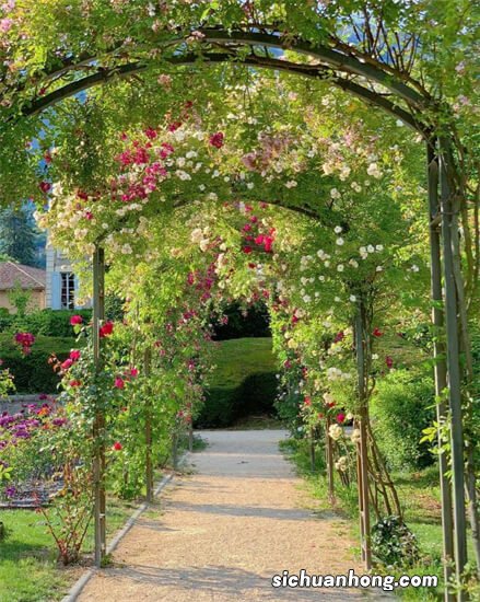 睡眠面膜十大品牌排行榜:兰蔻上榜,第一价格都非常的昂贵