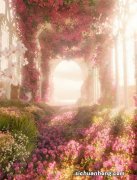 爽身粉十大品牌排行榜：红色小象排第四，第九专为初生婴儿打造