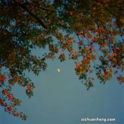 怎样发现自己手机被定位了？