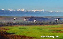 一组数字看中国丰收“速度” 各地抢收如何？