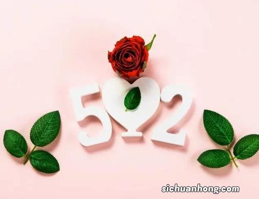 几百块钱的驻车取暖器使用效果如何？尾气会进入车内吗？