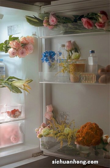 企鹅是鸟类还是哺乳类 ?企鹅是鸟类吗