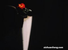 中亿行担保帮你火眼判断无抵押贷款是否正规