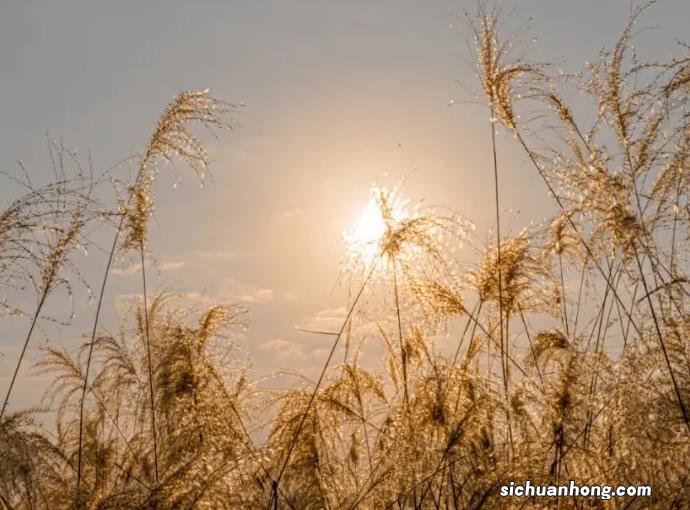 这些投资、理财方面的知识越早接触越好