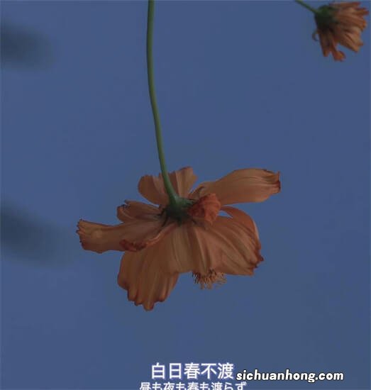 微电影拍摄技巧第一节:基本技巧