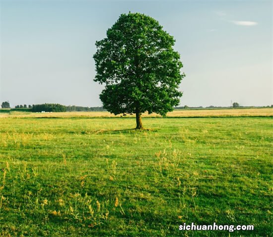 如果一个女孩老是对你忽冷忽热,到底要不要继续呢?