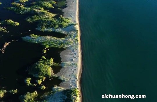 广东省的医学院,中大医学院第一,钟南山院士所在高校不是第二