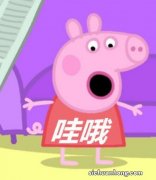 高校坑专业排行榜