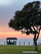 余额宝的“7日年化”代表什么意思