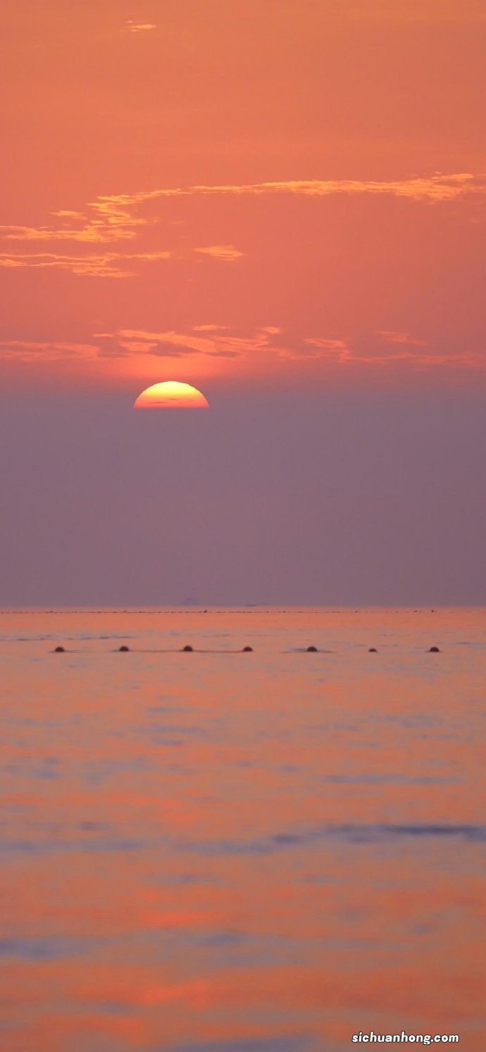 寒食节和清明节的区别 ?寒食节纪念谁的节日