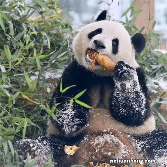 申请美国留学选校很纠结?不妨看看这篇文章吧