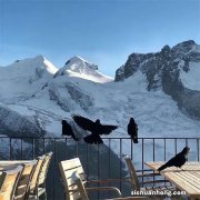 七天通知存款它不香吗？