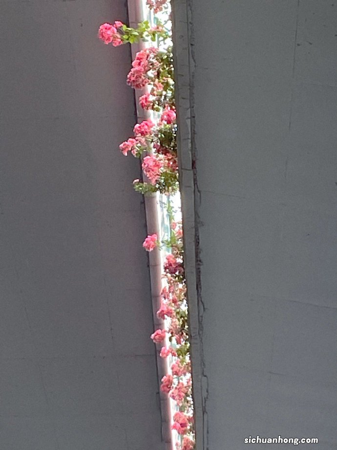 为什么有的女生喜欢开豪车的男人？