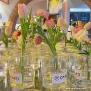 大肚能融 无穷鲸喜