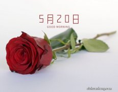 你们的证件照都拍对了吗？