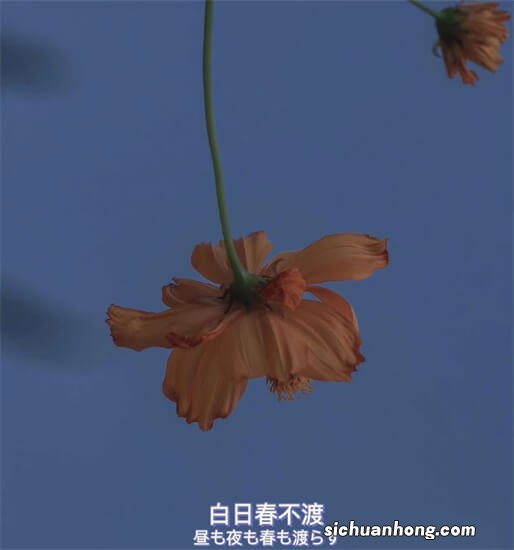 共享电单车半路没电了怎么办？充电问题如何解决？