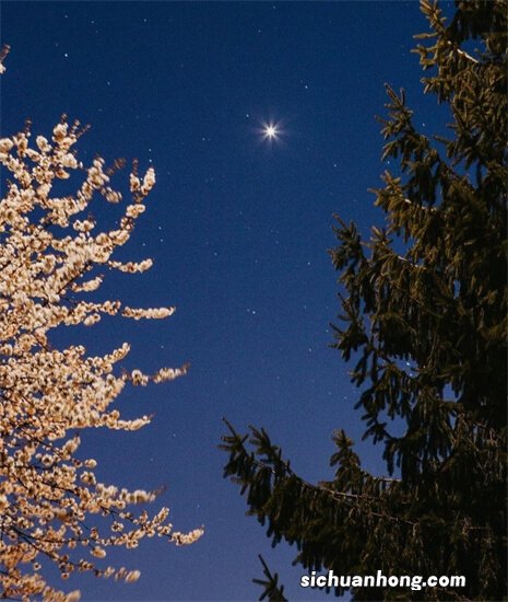 贷款银行哪家强？求推荐？