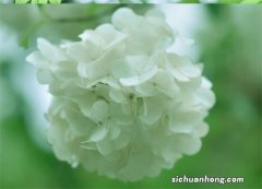 名下“有房”再买房就不能算首套房？这几种情况仍然算首套房