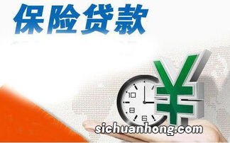 保单贷款具体是什么？