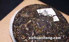 普洱茶细菌爆表？