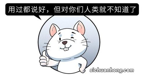 作为药物的蚯蚓