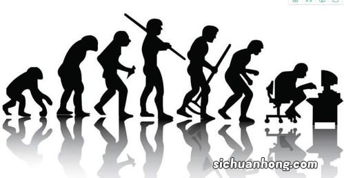 接近完美的碳基生命