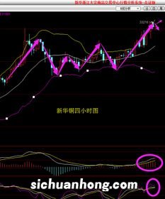 食粮做空的后果