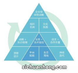 找准定位，探索差异化数字化转型策略